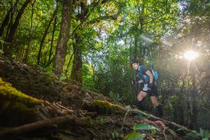 BIB: , 3287
                            <button type="button" onclick="openModal(16015590)" class="btn btn-primary btn-sm float-right btn-popup" data-toggle="modal" data-target=".modal-high-quality">
                        <i class="fas fa-shopping-cart"></i> Add to Cart
                    </button>
                                            <button type="button" onclick="isThisMe(16015590, true)" class="btn btn-success btn-sm float-right btn-popup btn-isme hidden" data-toggle="tooltip" data-placement="bottom" title="นี่คือรูปของคุณใช่ไหม คลิกที่นี่เพื่อเอาเข้าอัลบั้ม">
                        <i class="fas fa-plus"></i> Add to album
                    </button>
                    <button type="button" onclick="isThisMe(16015590, false)" class="btn btn-warning btn-sm float-right btn-popup btn-isnotme hidden">
                        <i class="fas fa-ban"></i> Remove from album
                    </button>